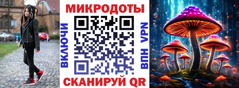 даркнет состав  что такое наркотик  Славгород  Псилоцибиновые грибы Psilocybe 